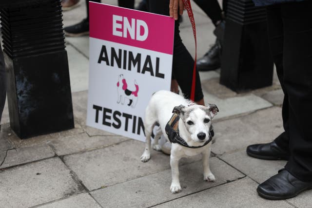 <p>File image: Animal welfare and cosmetics groups welcomed the home secretary’s statement </p>