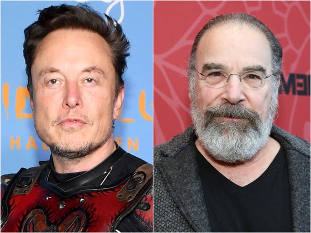 <p>Elon Musk (left) and Mandy Patinkin</p>