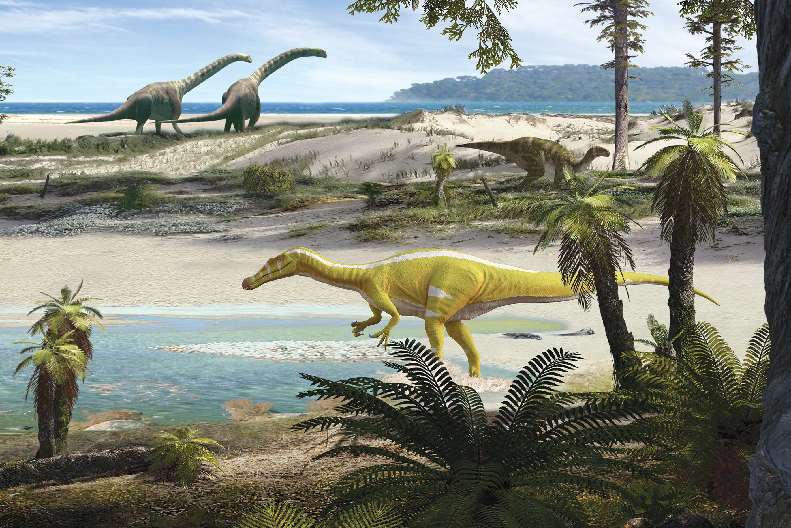 Fossil fragments shed light on a new dinosaur species in Spain