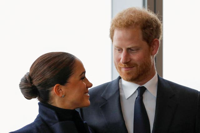 <p>It seems a very foolish decision by the government and the police to single Harry and Meghan out</p>
