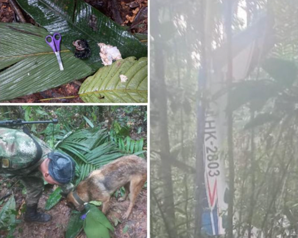 Para pejabat mengatakan empat anak selamat dari kecelakaan pesawat di hutan Kolombia.  Mereka tidak ditemukan sampai 40 hari kemudian