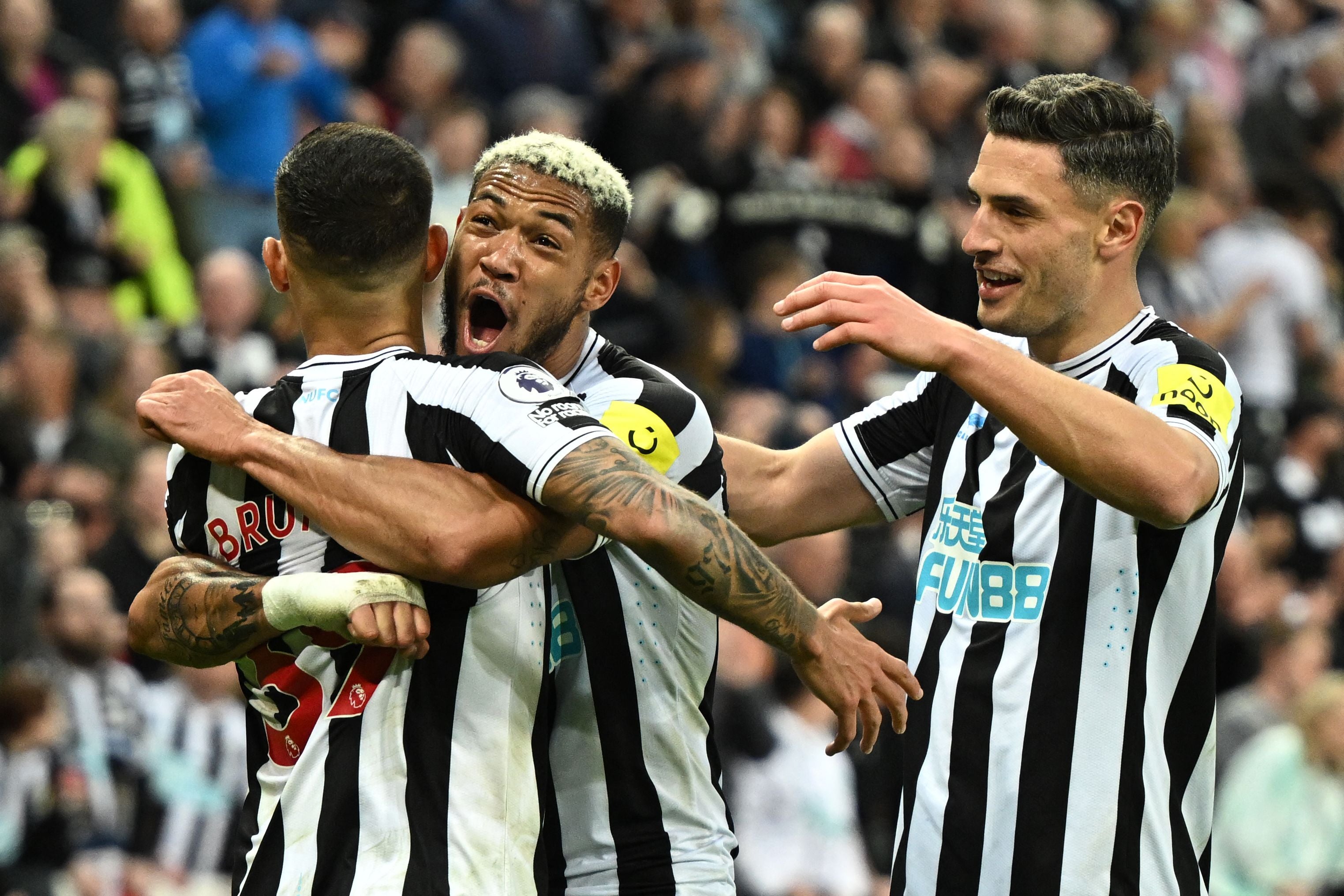 Newcastle were superb to ground the Seagulls