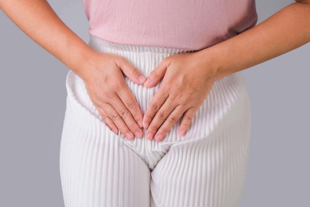 The Everywoman Festival aims to provide information on aspects of women’s health including periods, pelvic pain and menopause (Alamy/PA)