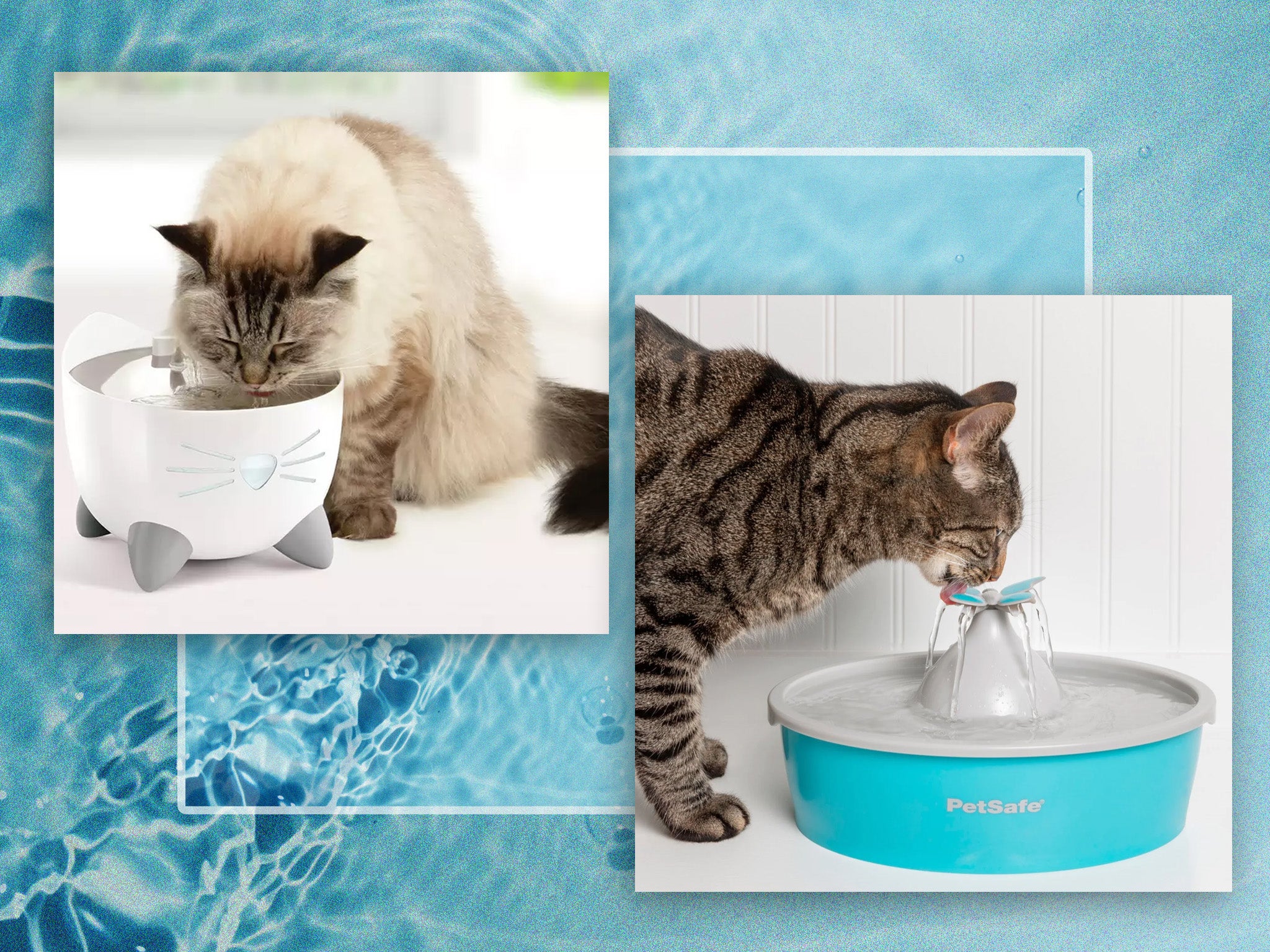 H2O promotes your cat’s good kidney health, replenishes their cells and wards off nasty infections