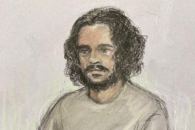 A 21-year-old terrorist has admitted plotting a gun attack in London’s Hyde Park (PA)