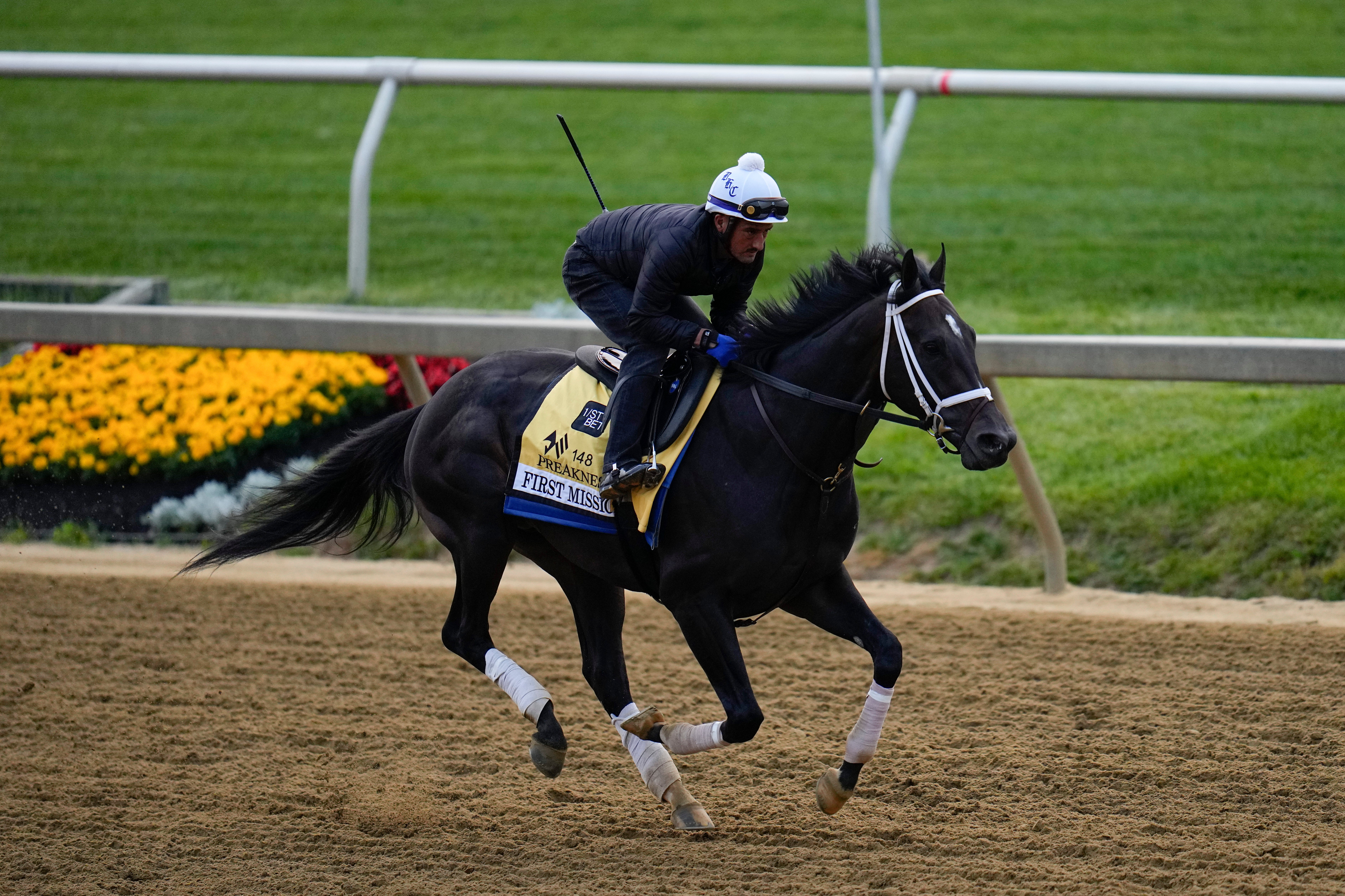 Preakness Horse Racing
