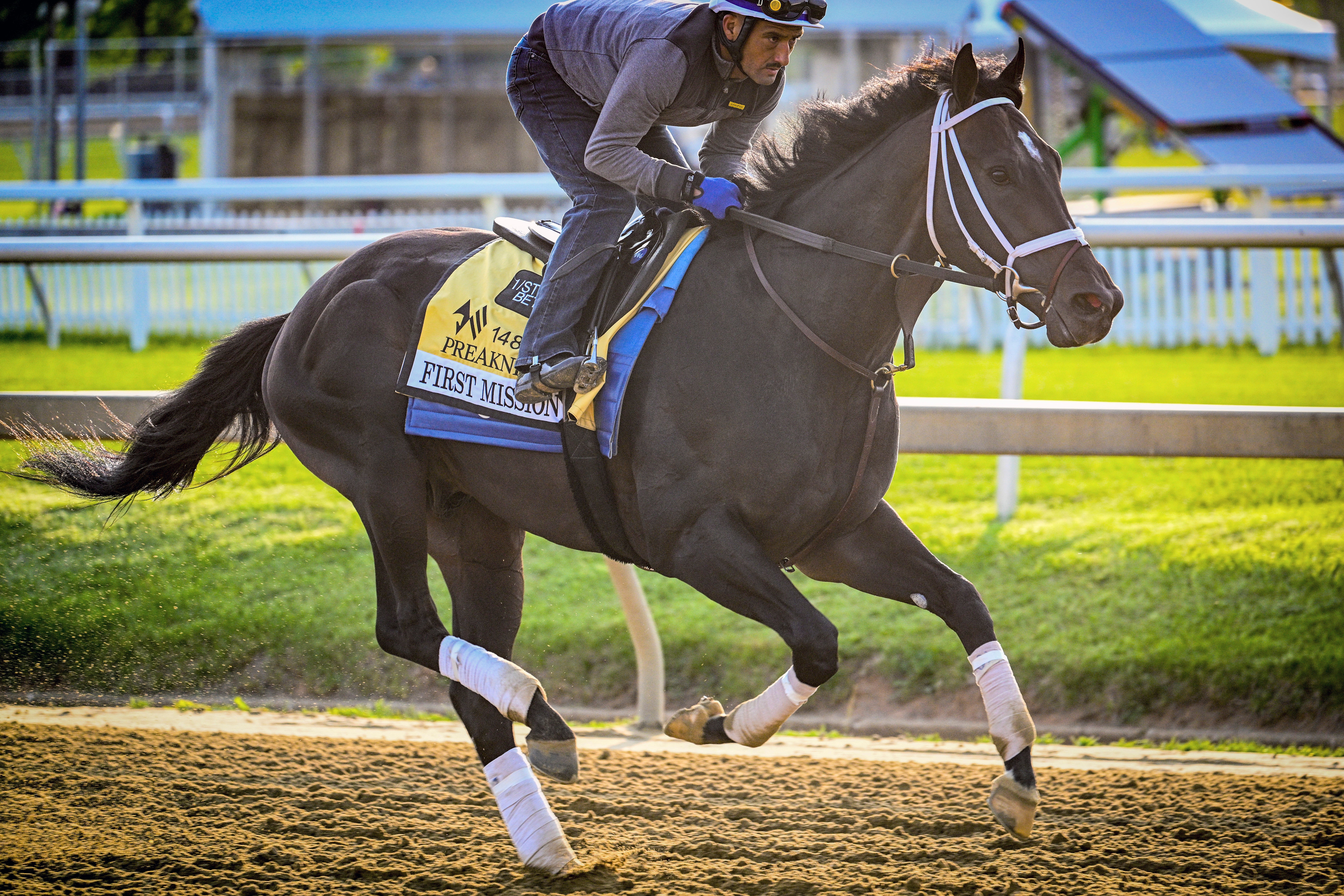 Preakness Stakes Horse Racing