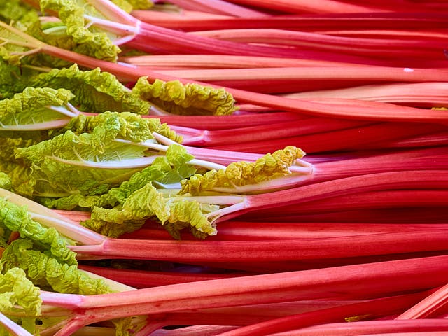 <p>Rhubarb works in both sweet and savoury dishes </p>