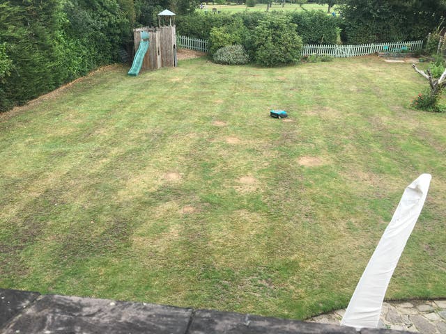 <p>The lawn in question </p>