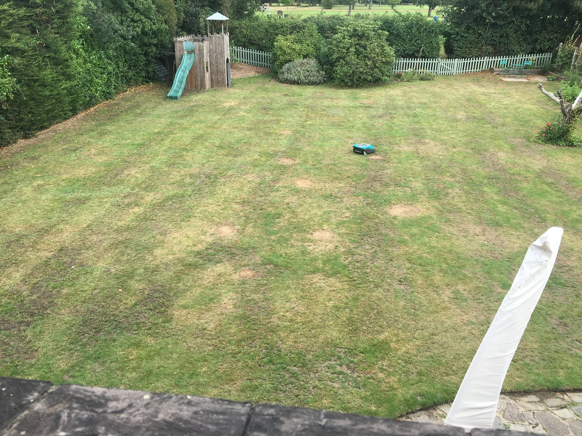 Voices: Lawns, frankly, are an abomination but I am not letting mine go 