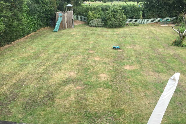 <p>The lawn in question </p>