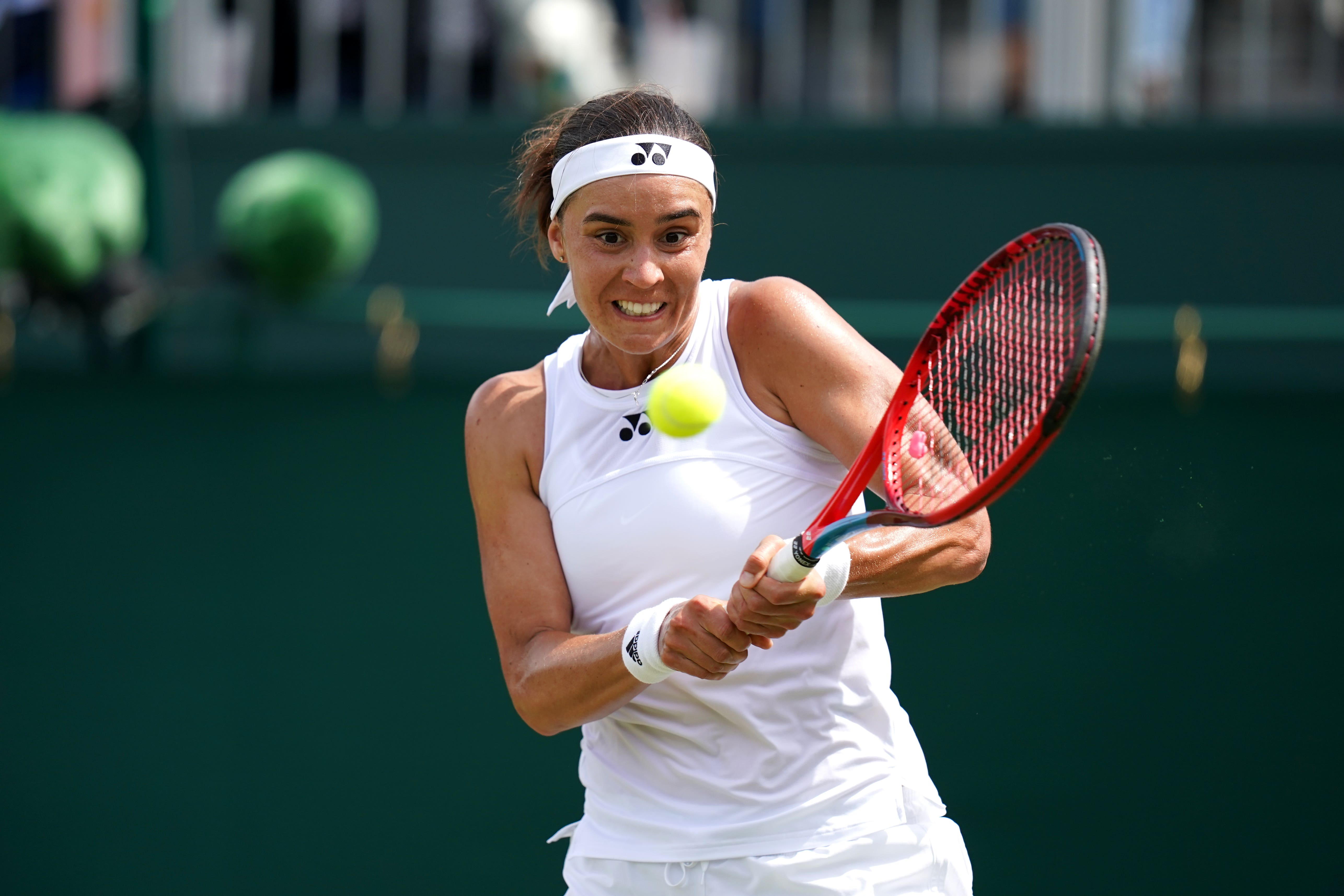 Tennis: Elena Rybakina wins Italian Open, beating Anhelina Kalinina in Rome  WTA final