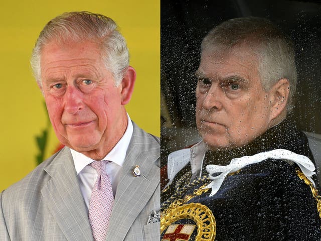 <p>King Charles and Prince Andrew</p>