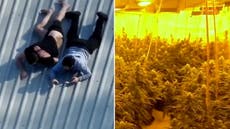Suspects try to hide phones on roof as police uncover cannabis farm in West Yorkshire