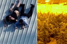 Suspects try to hide phones on roof as police uncover cannabis farm in West Yorkshire