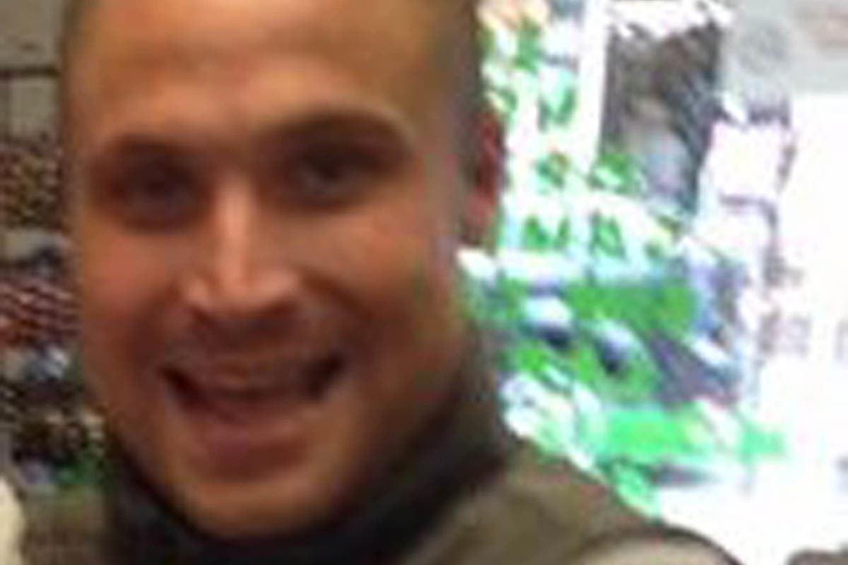 Police seize 15 dogs after man fatally injured in attack