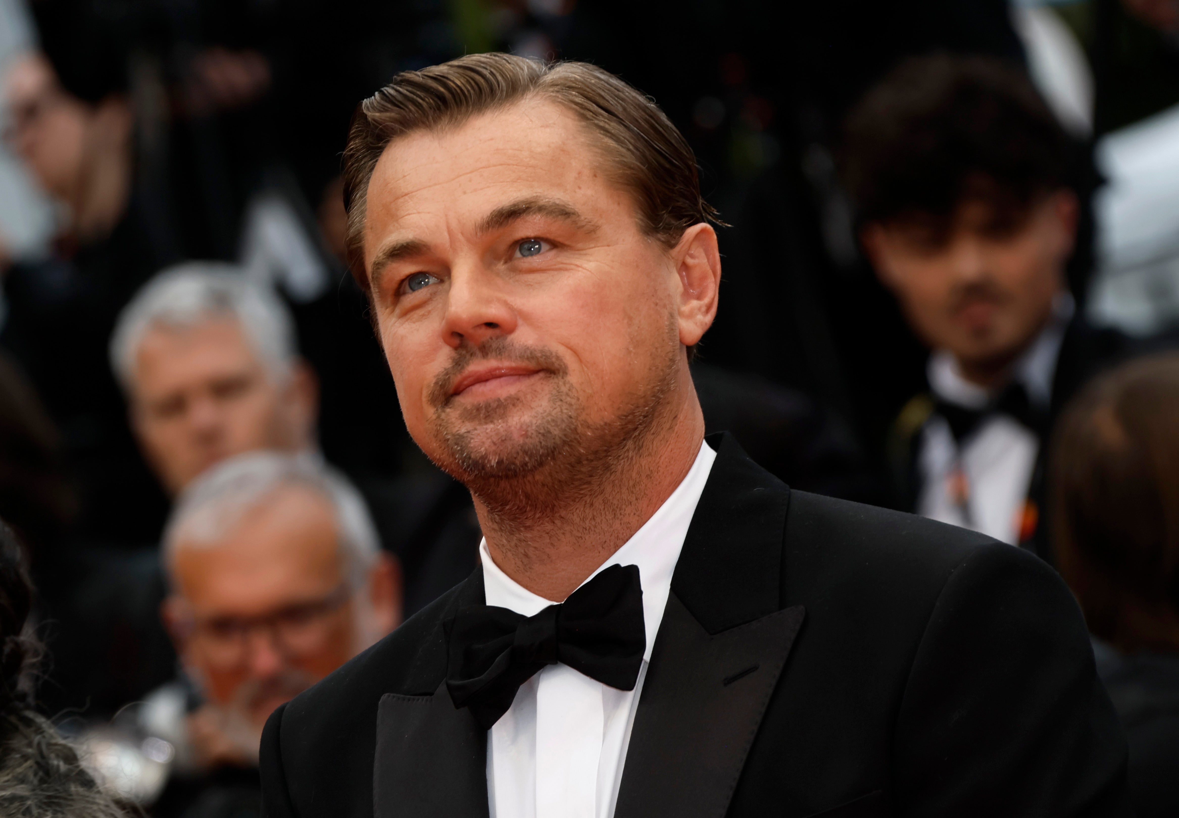 Leonardo DiCaprio looks poised to star in yet another Martin Scorsese film