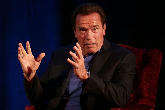 Arnold Schwarzenegger called on environmental activists not to try to block development as a solution to climate change (Yui Mok/PA)