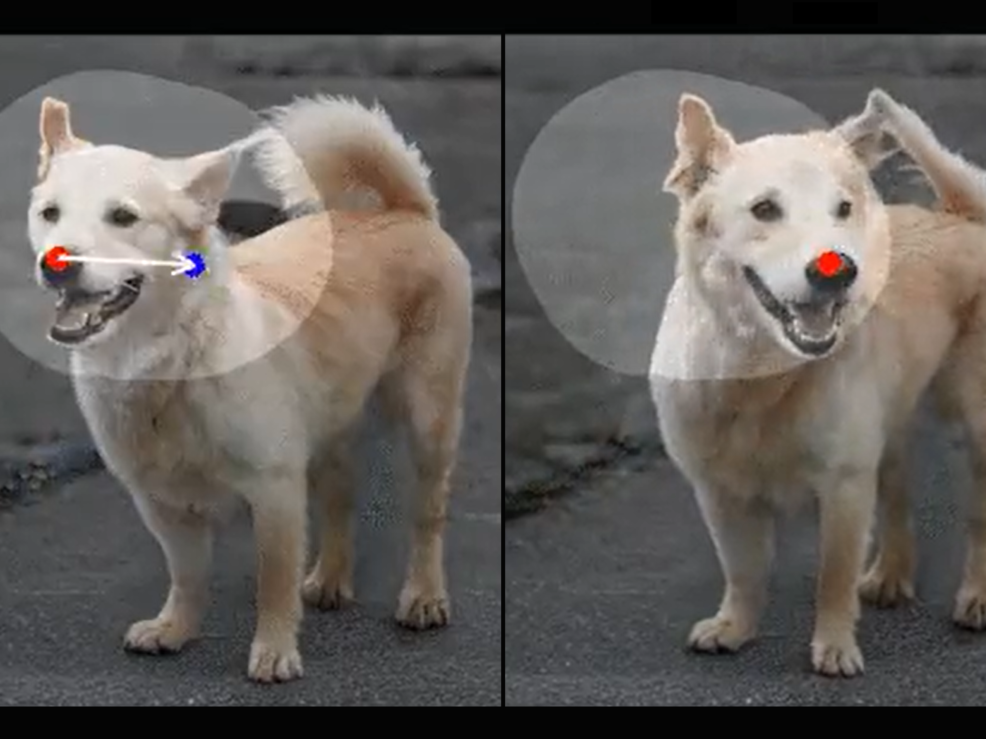 Generative artificial intelligence has transformed how photos are edited with new AI tools