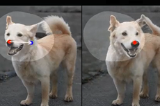 ‘RIP photoshop’: New AI can alter any photo with the click of a mouse