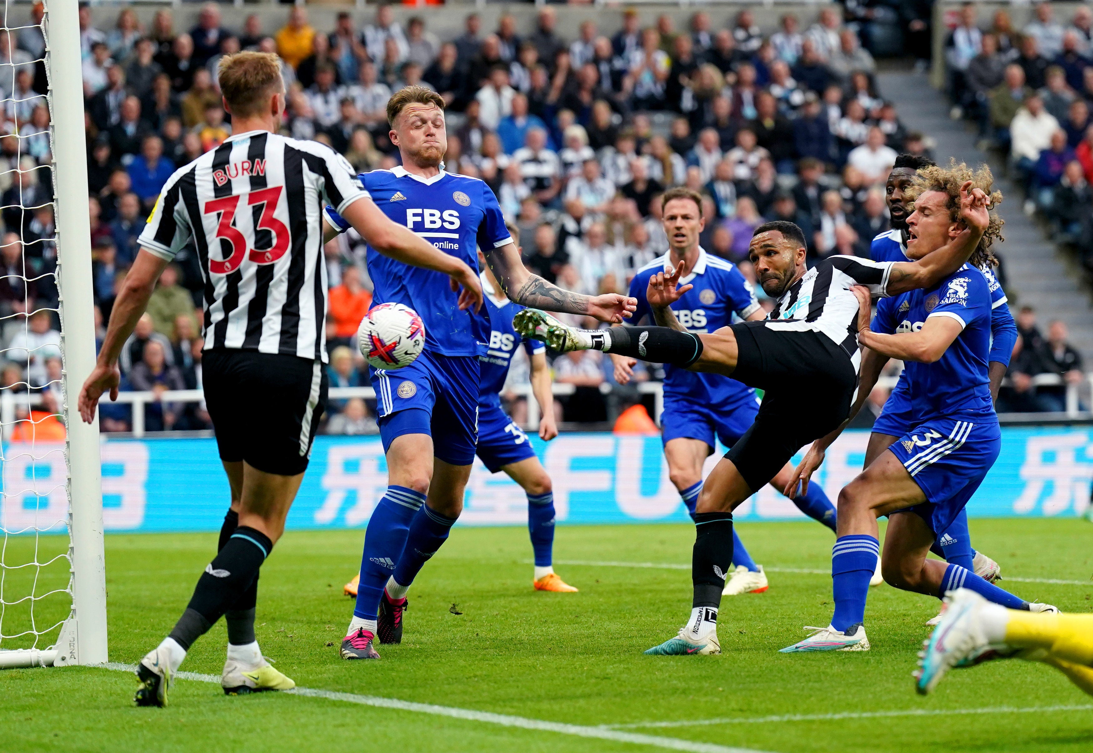 Callum Wilson hit the woodwork and had a shot cleared off the line