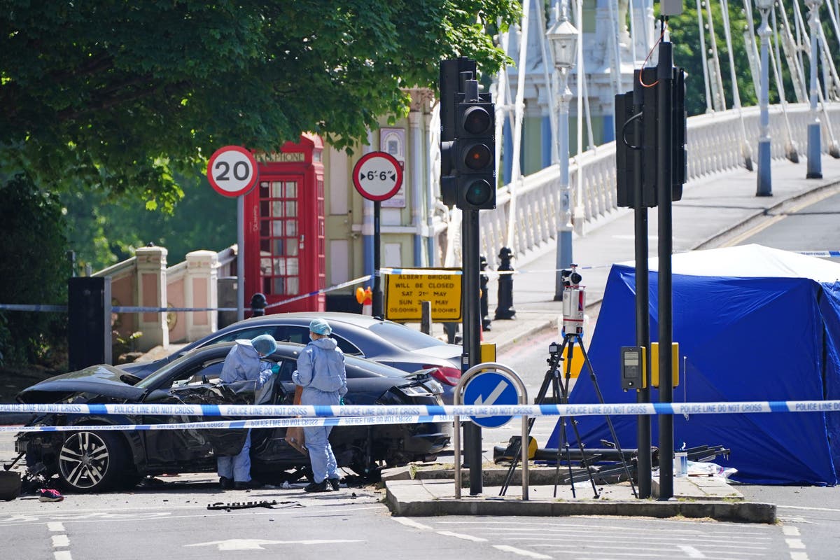 Driver admits killing woman and three dogs in Chelsea embankment crash