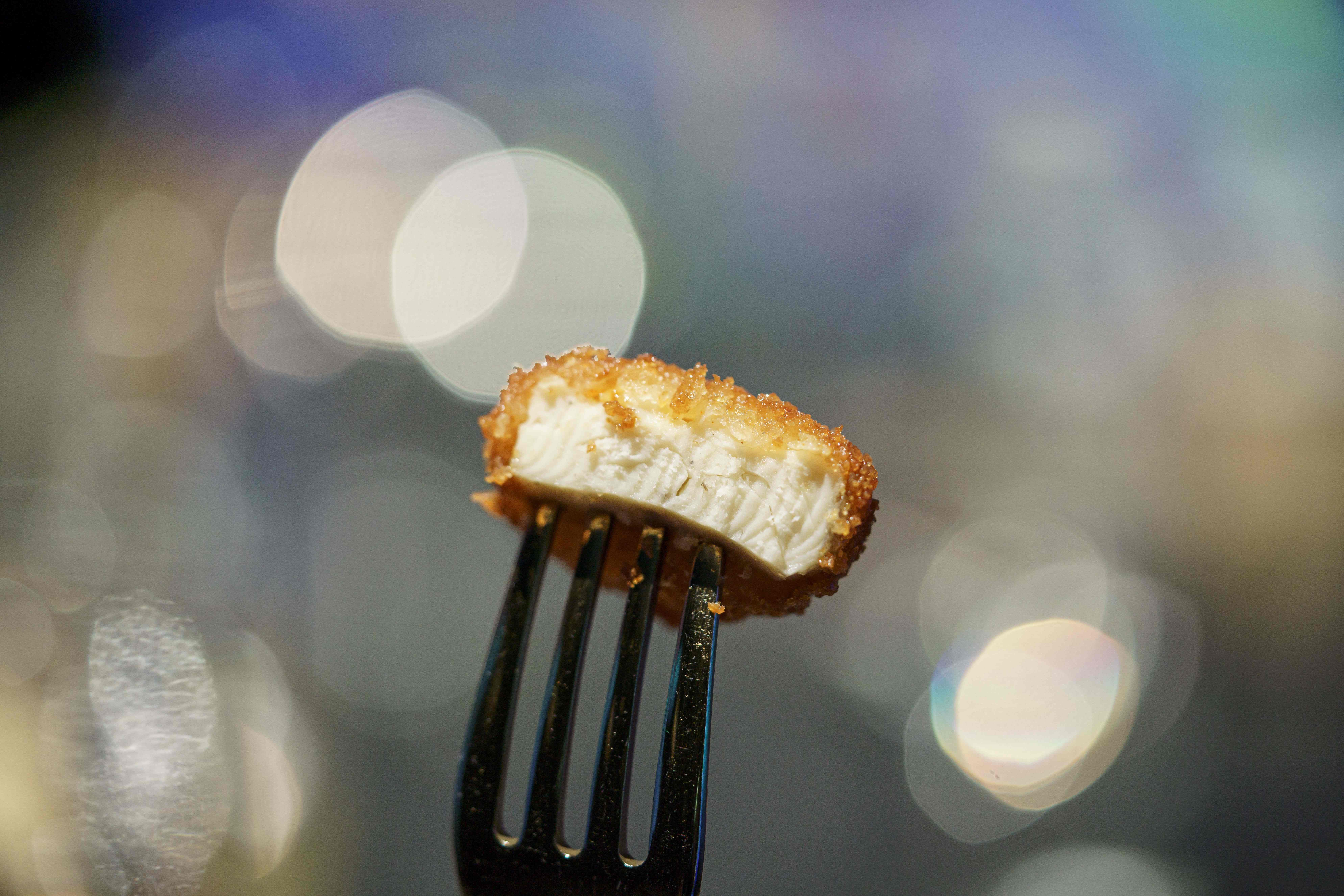 <p>A nugget made from lab-grown chicken meat is seen during a media presentation in Singapore</p>
