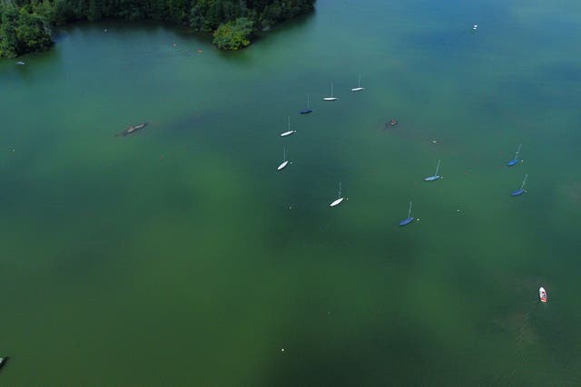 Some combinations of chemicals have been found to be toxic to algae and other forms of wildlife (Owen Humphreys/PA)