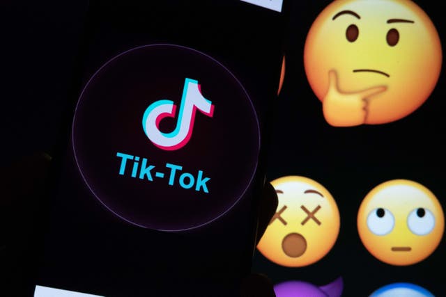 <p>A teenager will appear in court after a TikTok “prank” video showed people entering a private home without permission (Aleksey Zotov/Alamy/PA)</p>