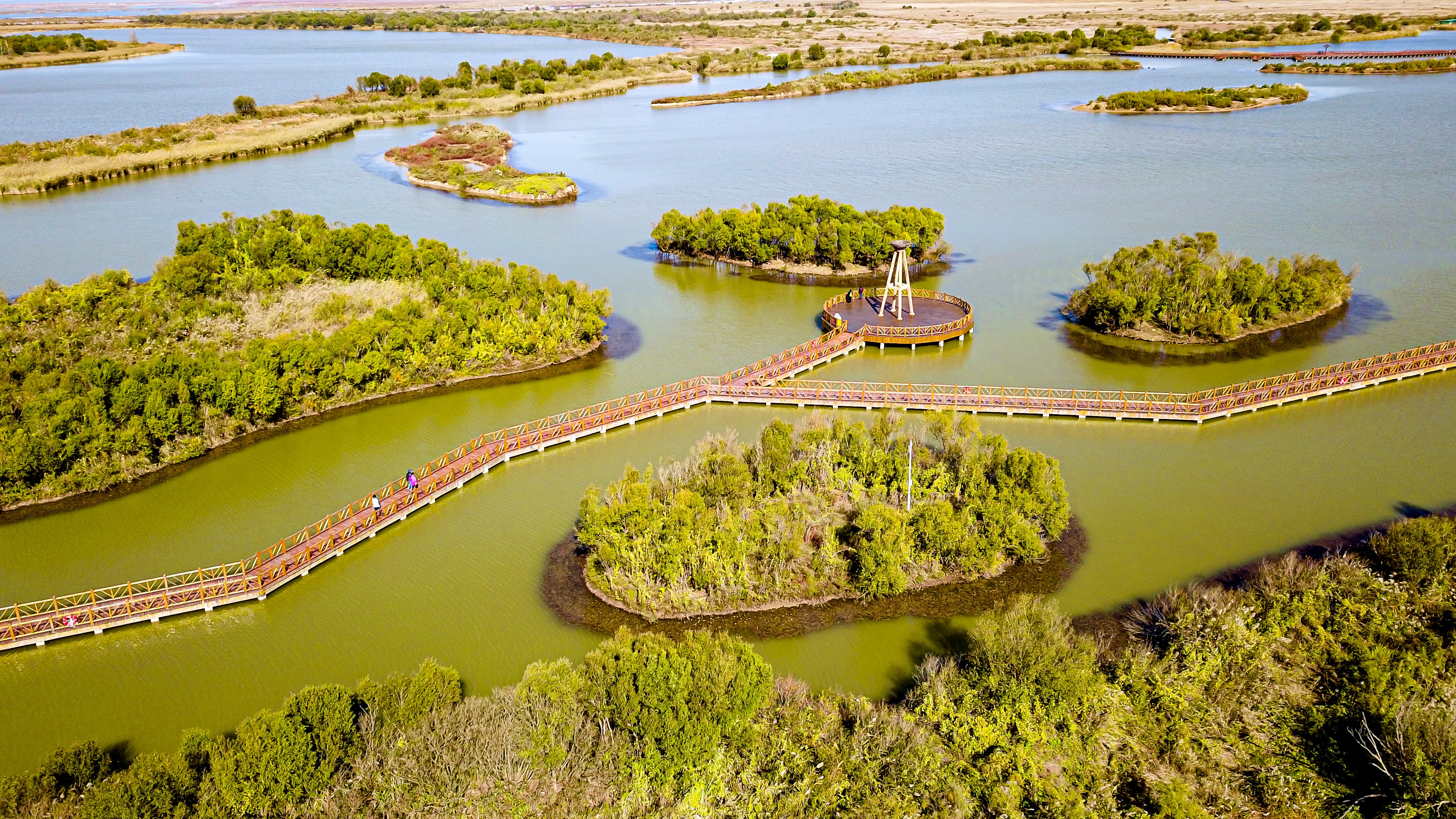 The Yellow River Delta National Nature Reserve in Dongying, Shandong province, boasts rich wetland systems