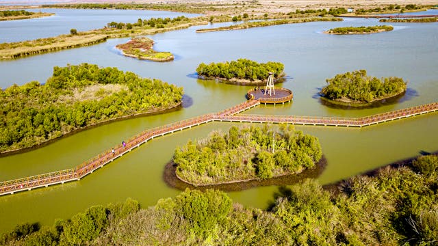 <p>The Yellow River Delta National Nature Reserve in Dongying, Shandong province, boasts rich wetland systems</p>