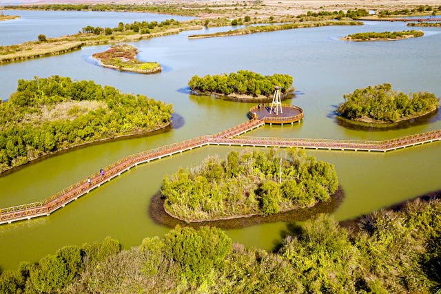 <p>The Yellow River Delta National Nature Reserve in Dongying, Shandong province, boasts rich wetland systems</p>
