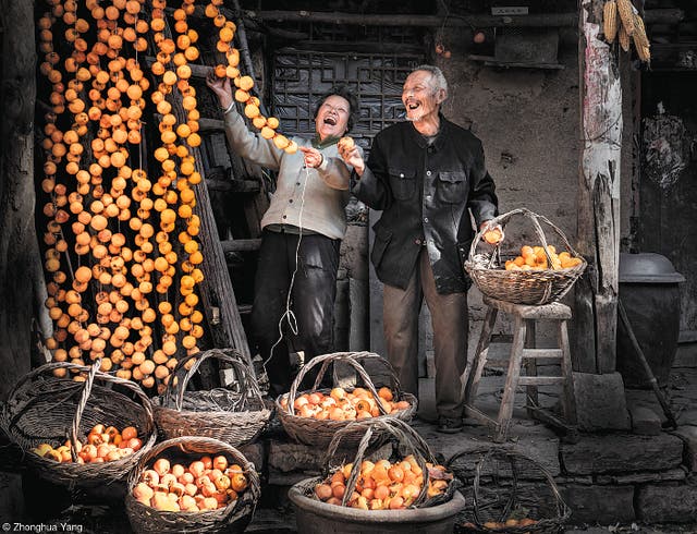 <p><em>Hanging Up Persimmons</em>, clicked by Yang Zhonghua  </p>