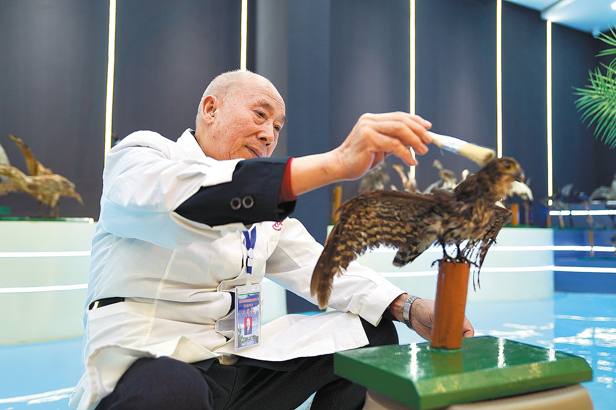 Li Wenjian gives the final touch on a taxidermied bird at the Dongting Lake biodiversity gallery in Sanyantang village, Hunan province