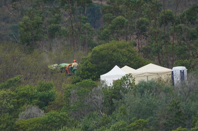 <p>Personnel clear undergrowth with machinery at Barragem do Arade reservoir, in the Algave, Portugal</p>