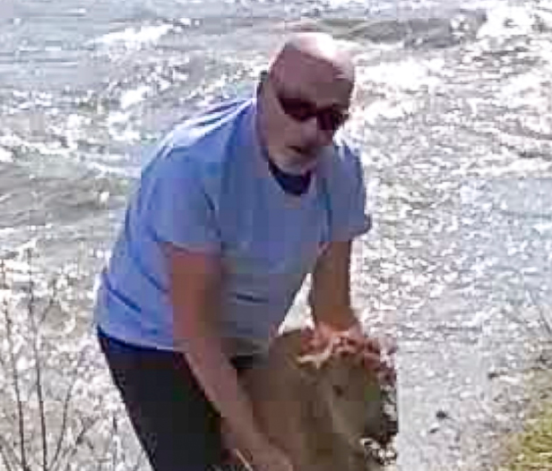 A Yellowstone National Park bison calf was euthanised after a tourist’s attempted rescue