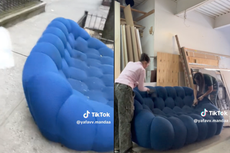 Pest control expert weighs in on viral blue sofa debate: ‘Perfect couch for hosting bed bugs’