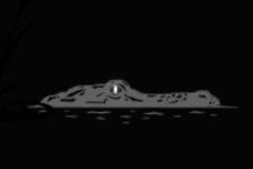 DeSantis 2024 campaign logo brutally mocked: ‘So he’s admitting he’s a swamp creature?’