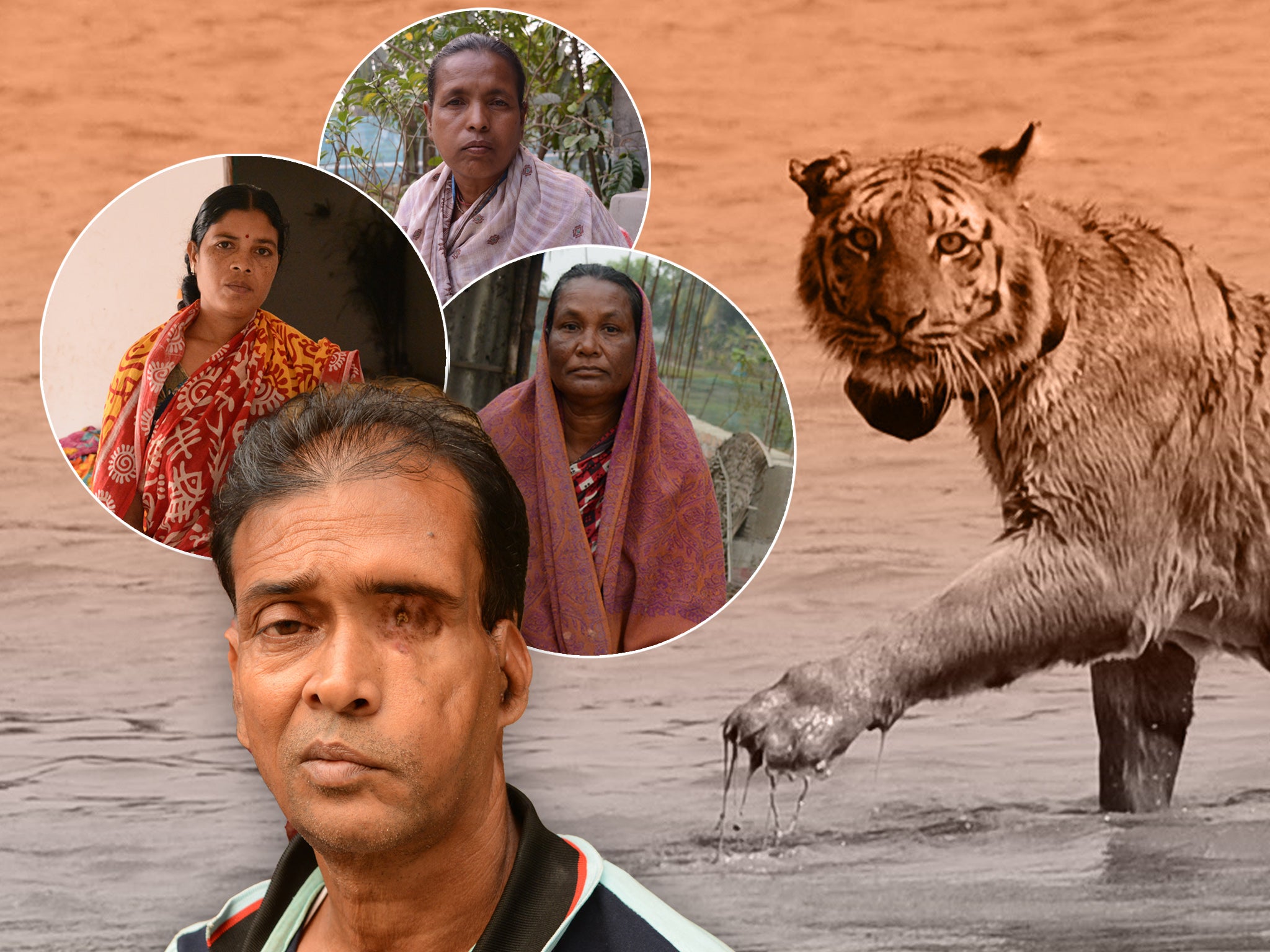 human next to bengal tiger