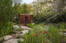 Mediterranean muses, wild blooms and shrooms: Trends to watch from this year’s Chelsea Flower Show