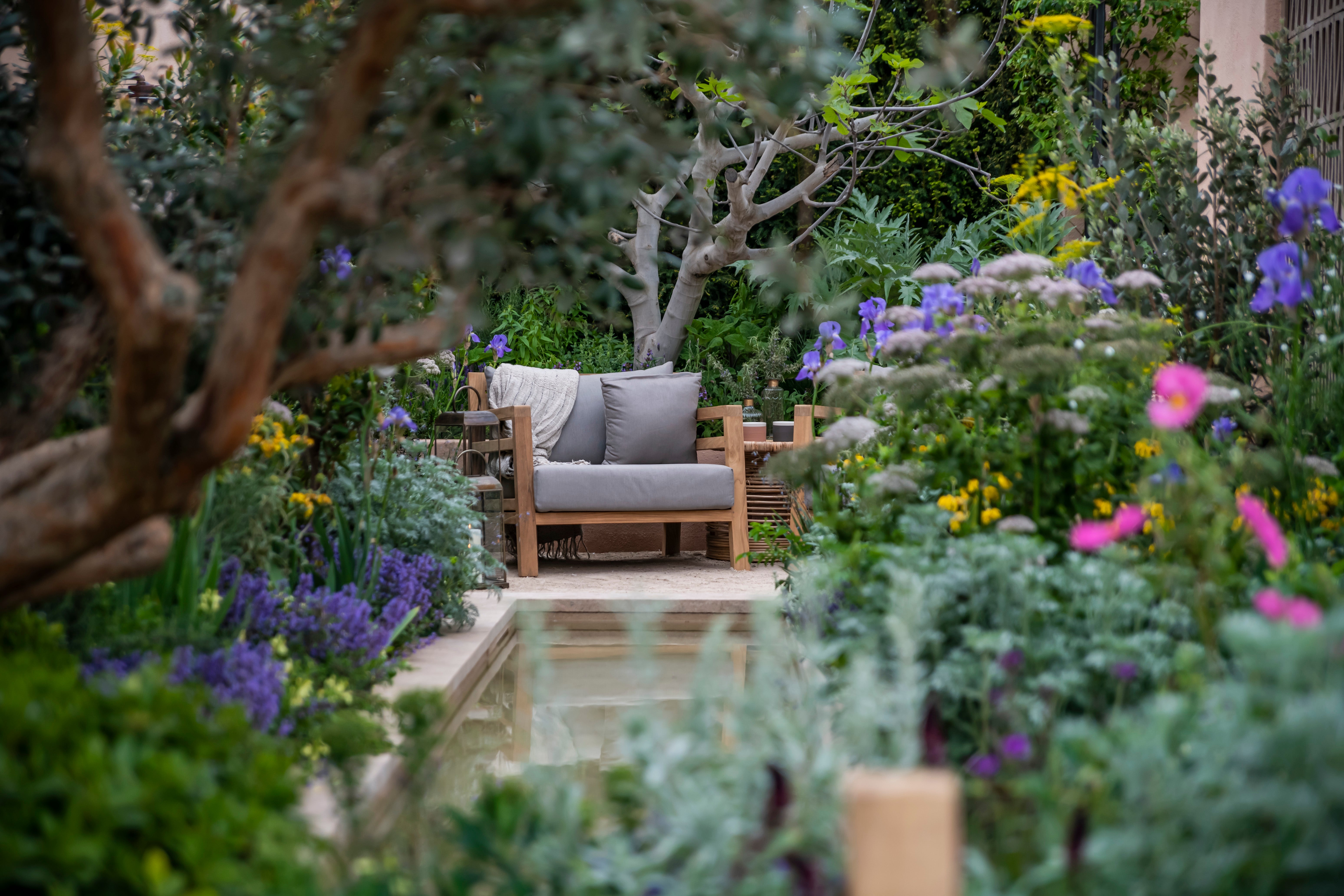 Peace and quiet: the Hamptons Mediterranean Garden