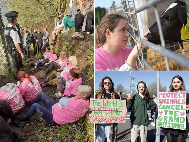 animal rights activists - latest news, breaking stories and comment ...