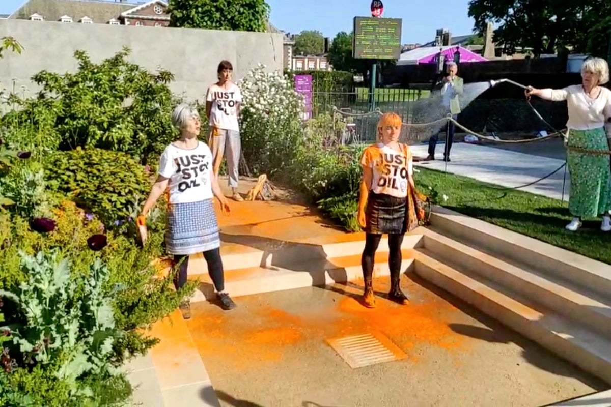 Just Stop Oil explain why they protested against Chelsea Flower Show ...