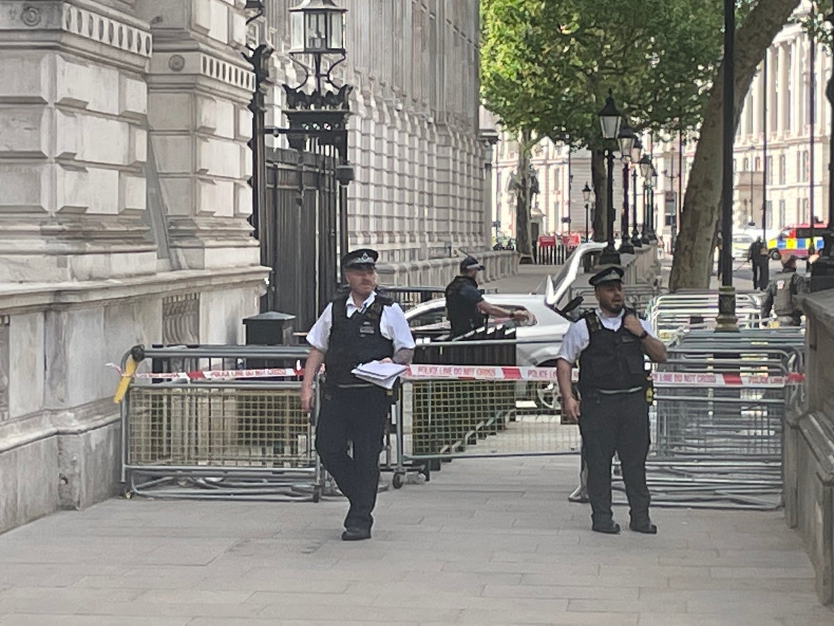 Car crashes into Downing Street gates