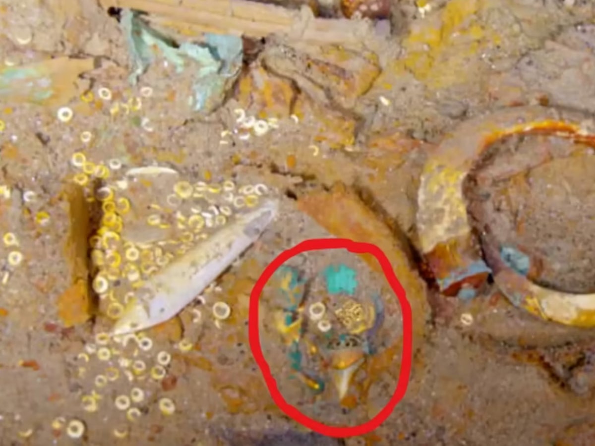 A luxury necklace was spotted in the wreckage of the Titanic. AI could help find its owner