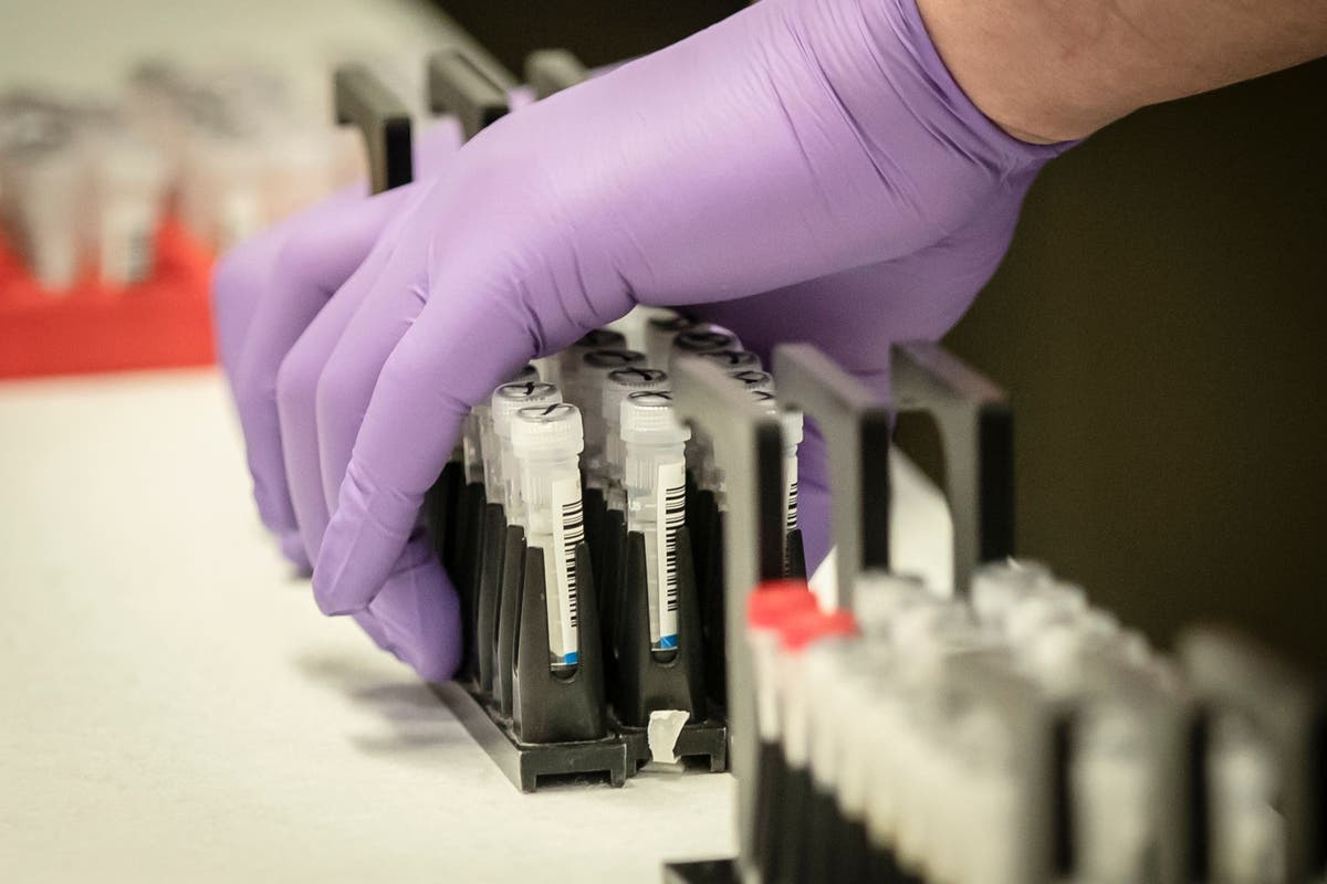 Life sciences sector to get &pound;650m &lsquo;war chest&rsquo; in new funding package