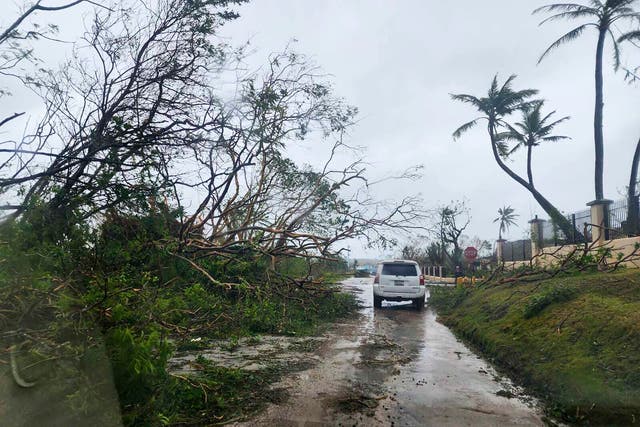 <p>Downed trees litter a street in Guam </p>