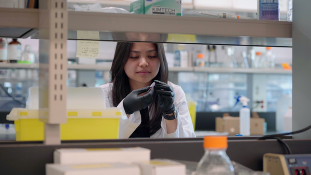 <p>Denise Catacutan, graduate student in the Department of Biochemistry & Biomedical Science at McMaster University and co-author of the paper</p>