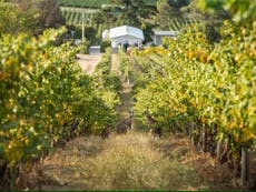 Food trails and vineyard tours in Melbourne and Victoria