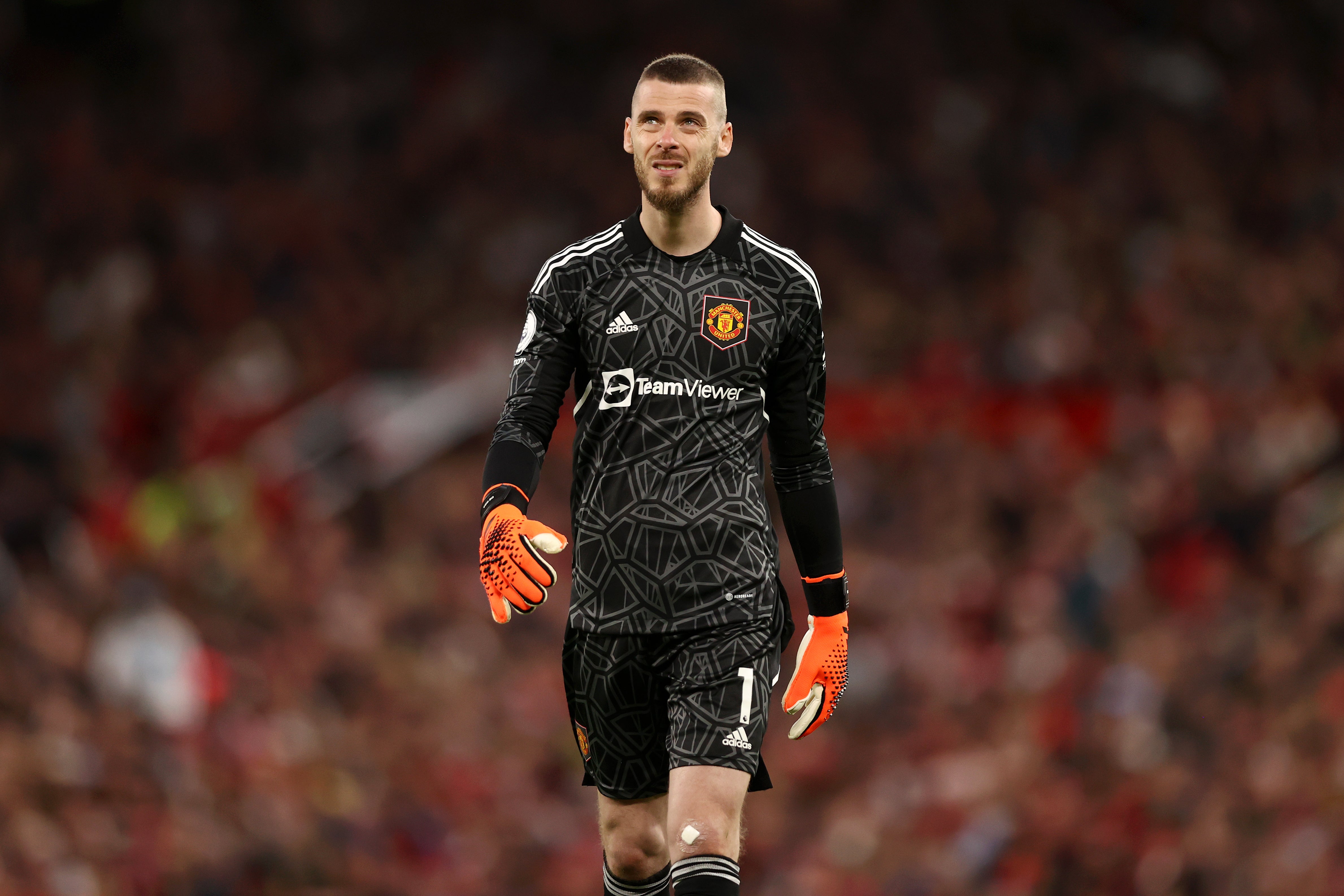 David de Gea has been given no assurances over his playing time at Old Trafford